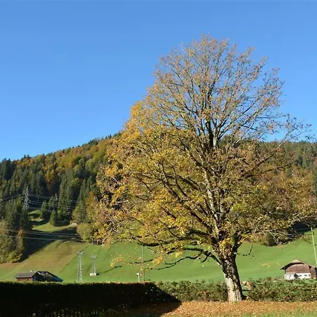 Oberland Nr- 7 Appartement-fewo- Dusche Oder Bad- Wc 8-bettwohnung By Interhome Апартаменты
